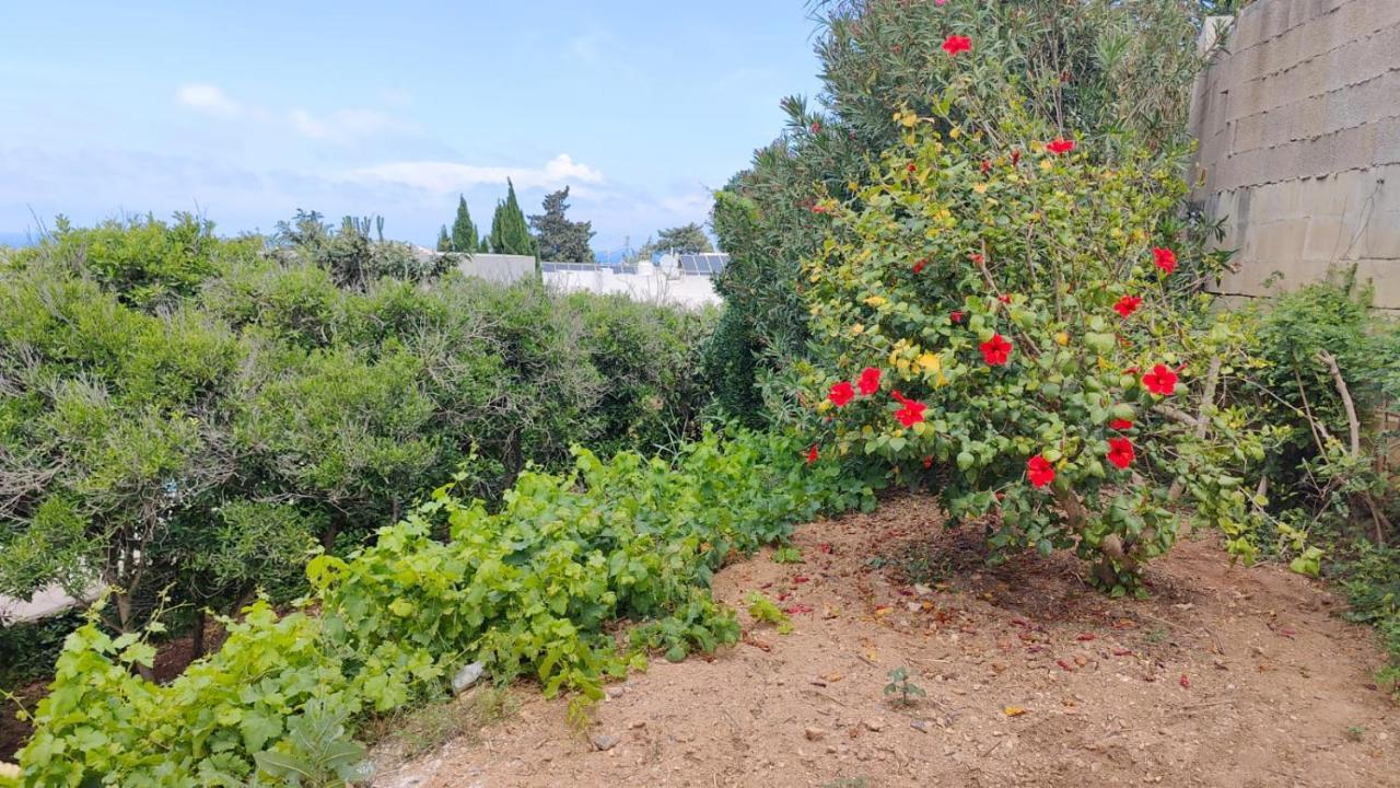 Stunning Villa With Pool, Table Tennis, Table Soccer And A Pool Table Naxxar Esterno foto