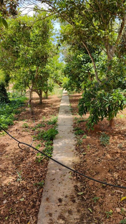Stunning Villa With Pool, Table Tennis, Table Soccer And A Pool Table Naxxar Esterno foto